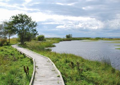 Cykla på Öland