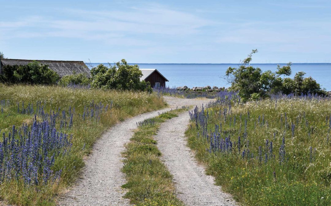 Vandra vid kusten