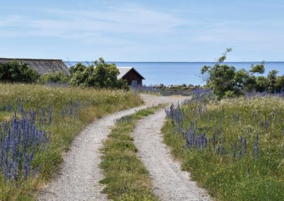 Vandra vid kusten